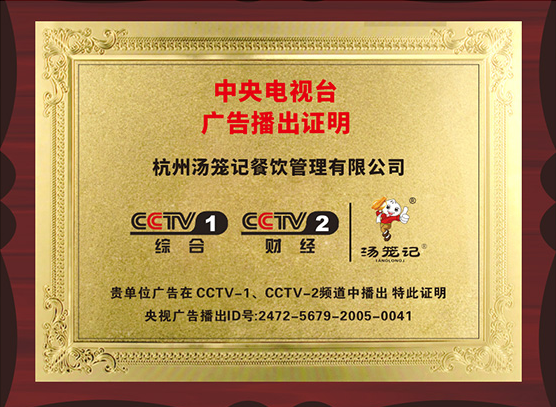 央视播出证明